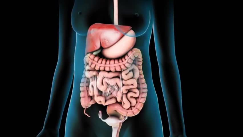 Gastrointestinal Cerrahi tanıtım videosu önizlemesi